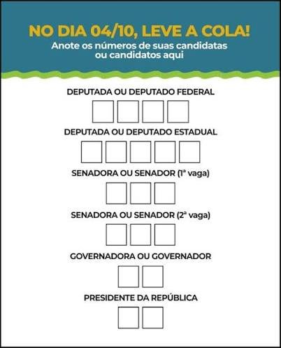 Elei&ccedil;&otilde;es neste domingo: saiba o que pode e o que &eacute; proibido fazer no dia da vota&ccedil;&atilde;o